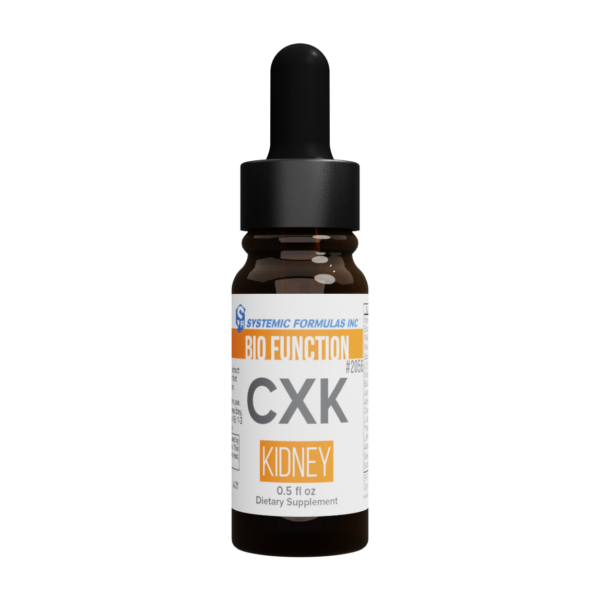 CXK - Kidney