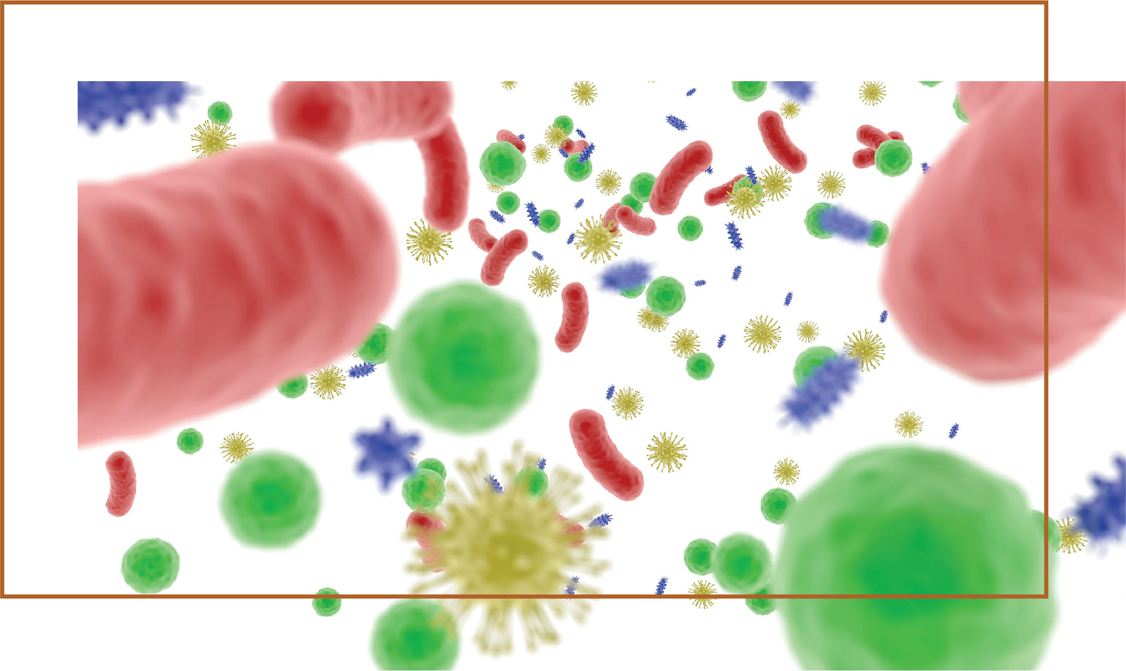 Immune µBiomic - Product Description