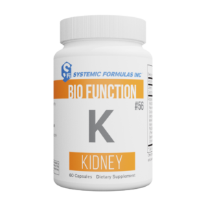 SF00056 - K - Kidney