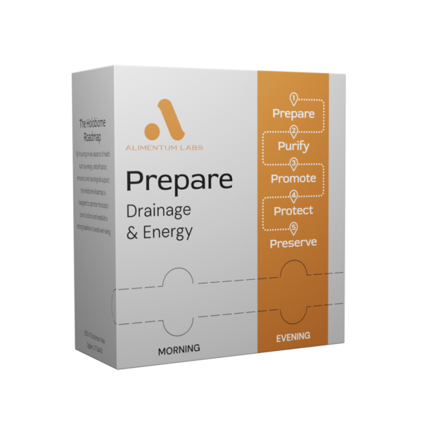 Prepare - Drainage & Energy