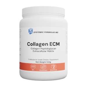 Collagen ECM - Collagen Peptidoglycan Extracellular Matrix